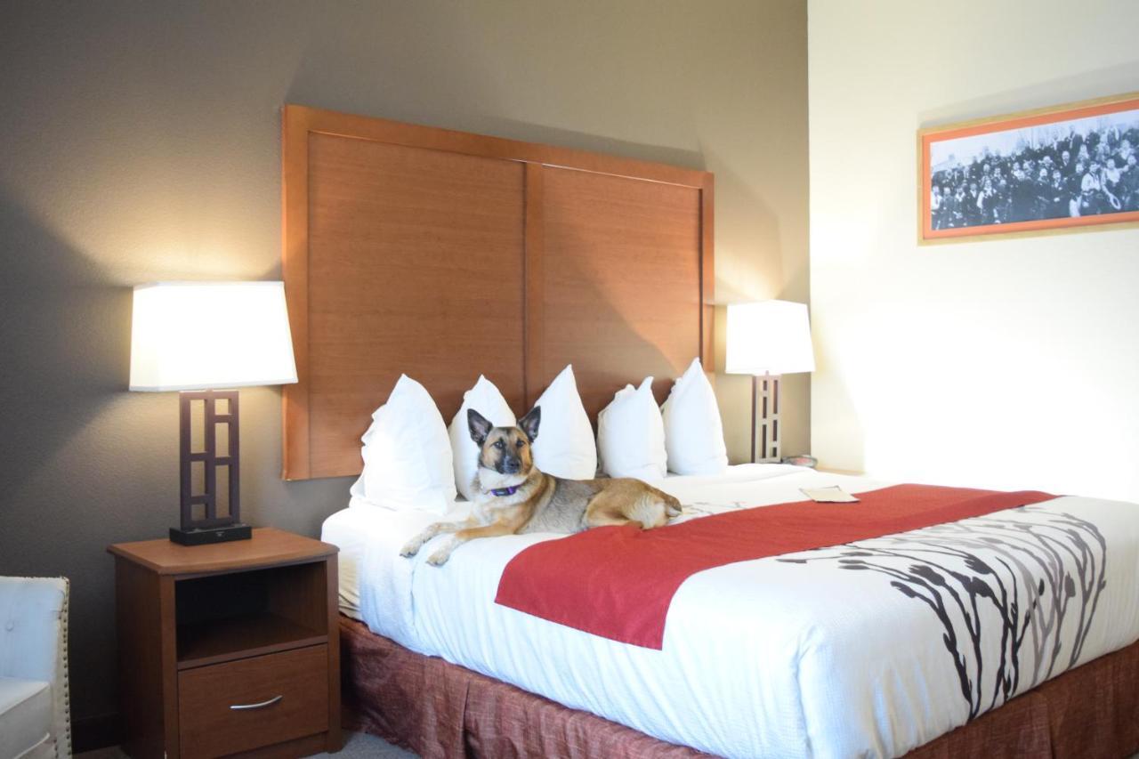 Newcastle Lodge & Convention Center מראה חיצוני תמונה